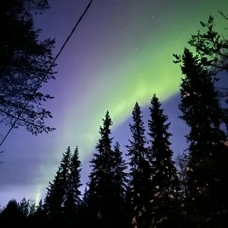 Norvahovi - View, Sauna And Wood Interior *