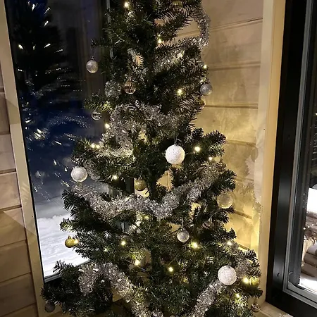 Villa Norvahovi - View, Sauna And Wood Interior *